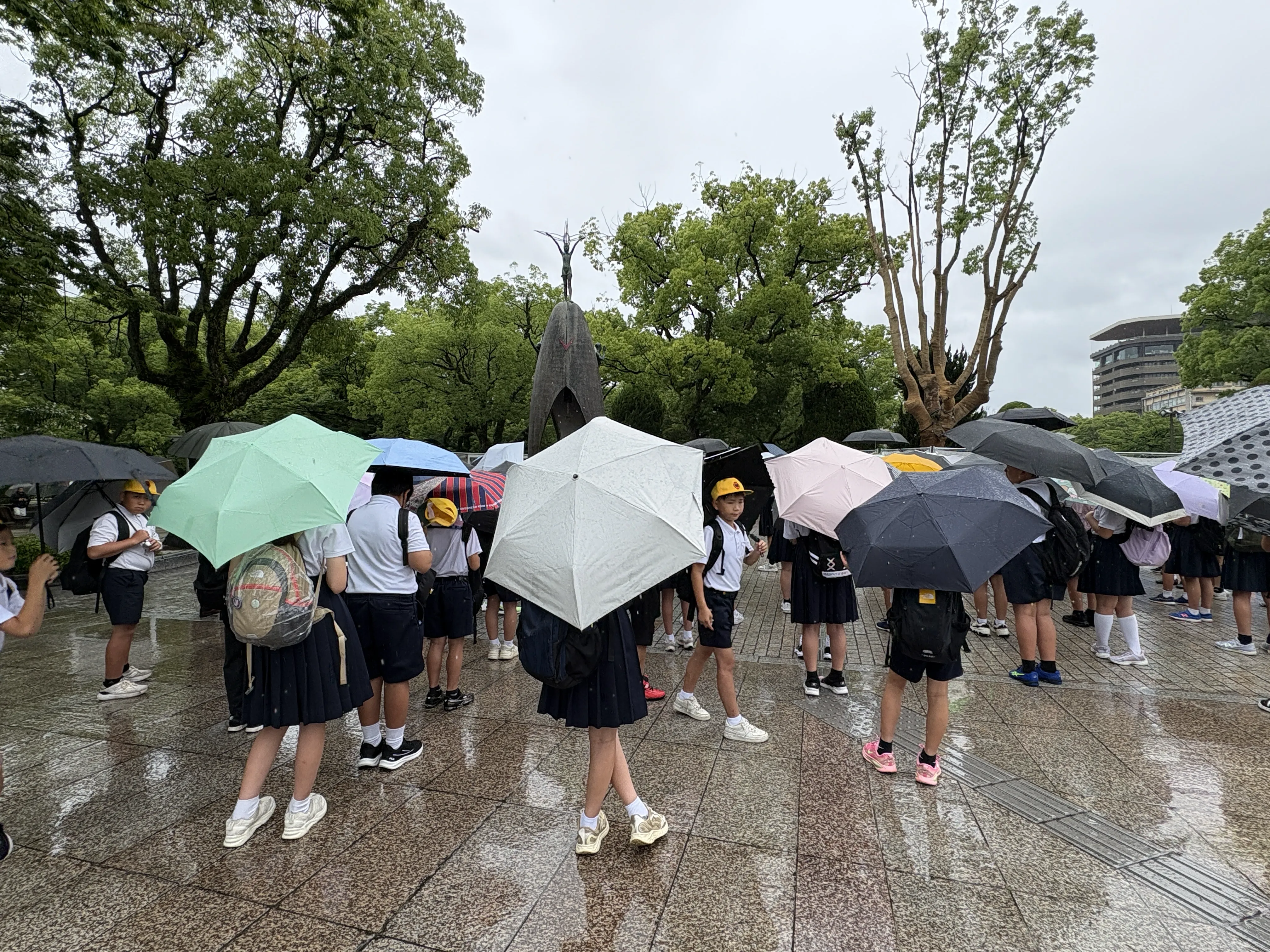 Image_20260624_122658_115