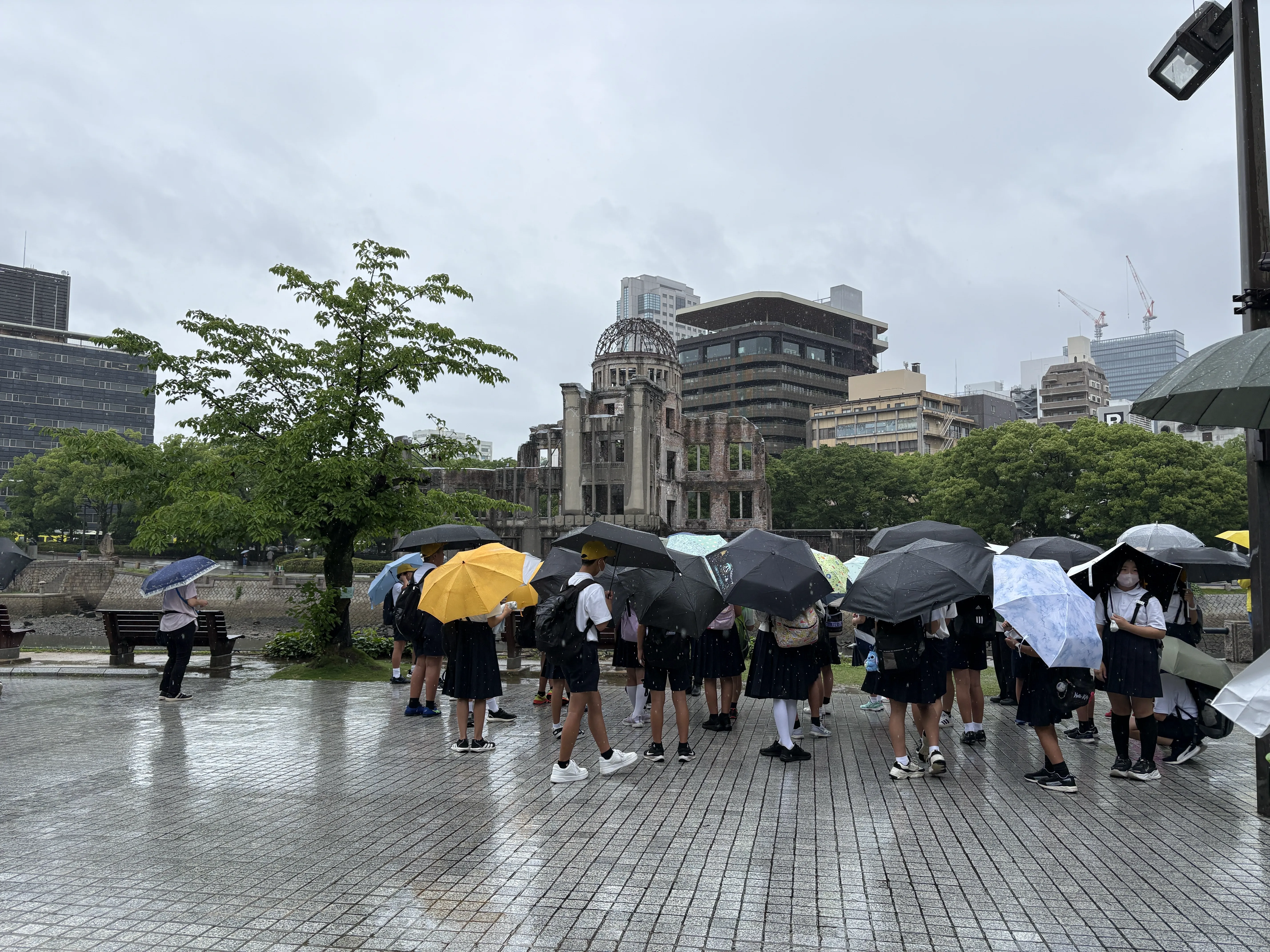 Image_20260624_130055_869