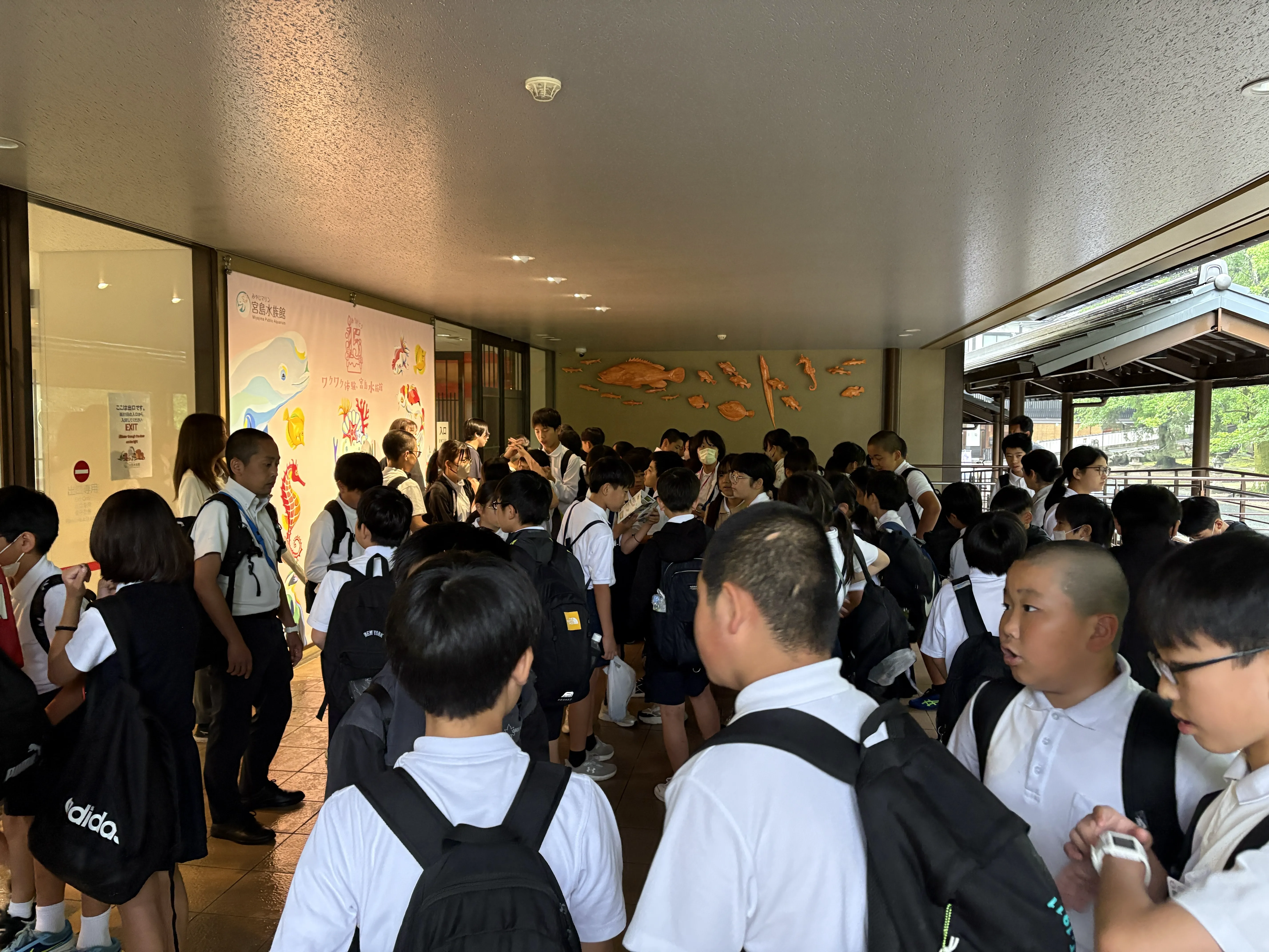 Image_20260625_092455_478