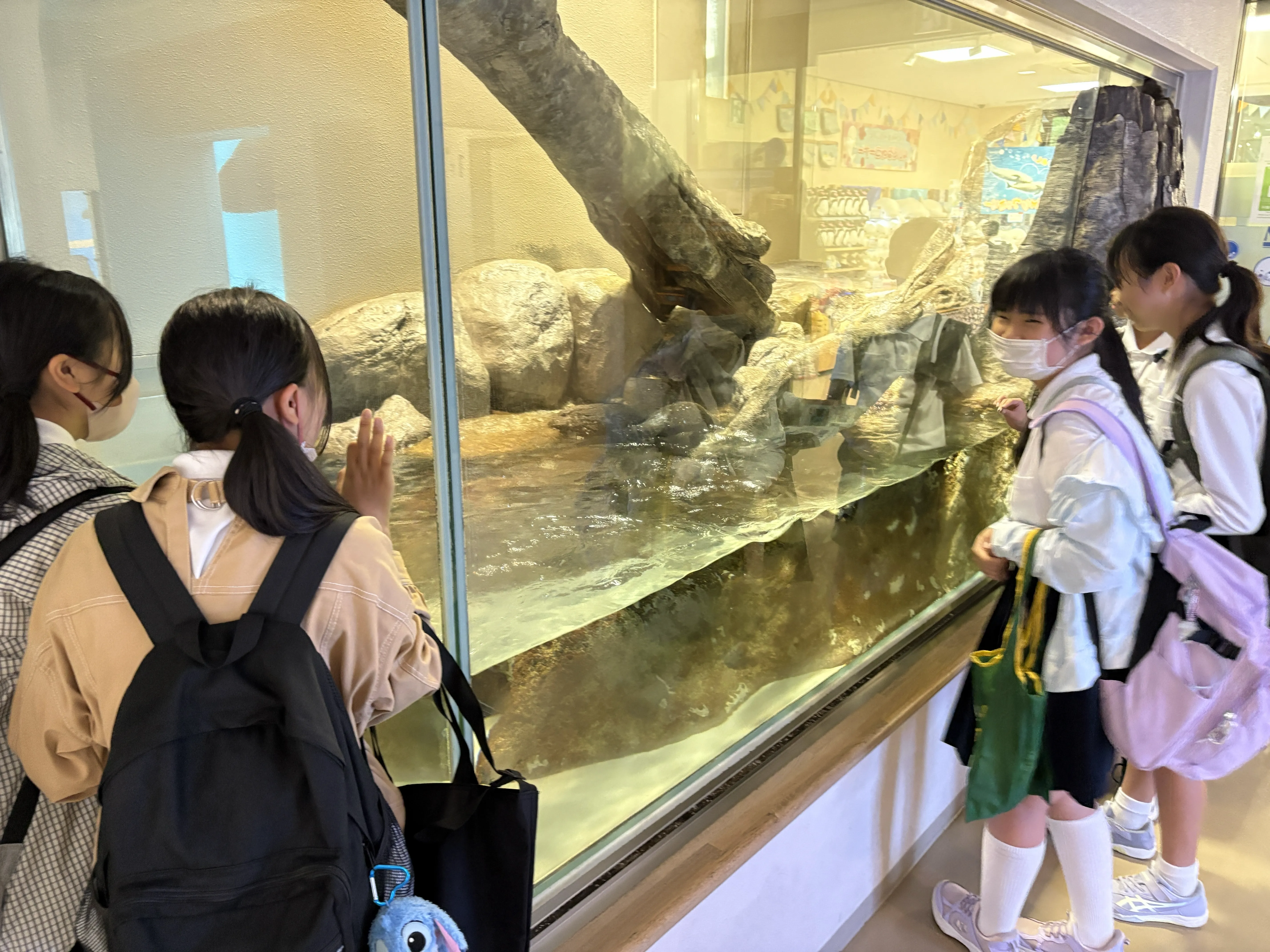 Image_20260625_092454_818