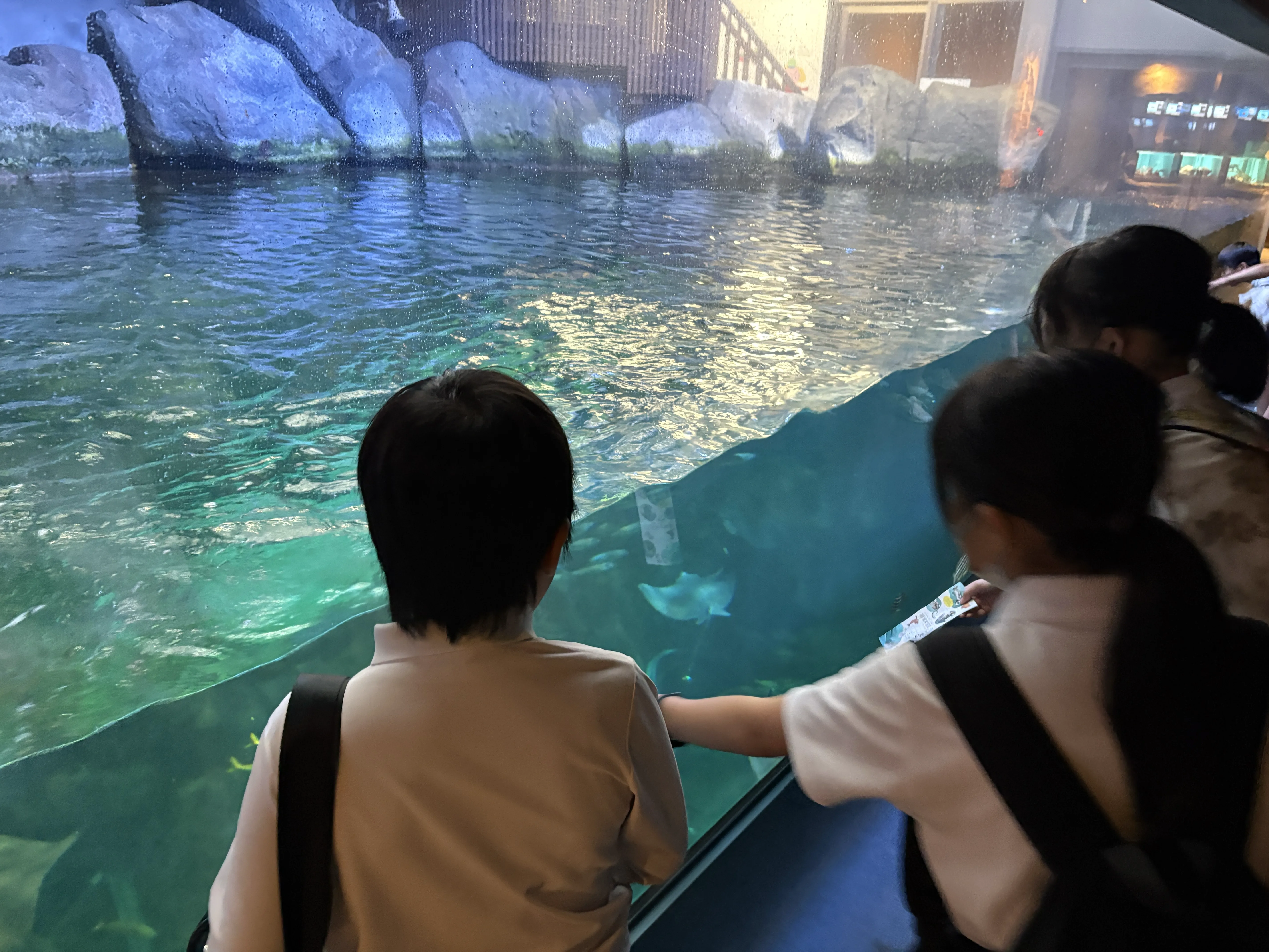 Image_20260625_092455_268