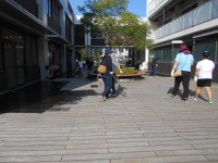 DSCN4321